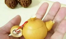 葫芦视频,揭秘奇妙的葫芦世界