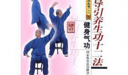 导引养生功十二法教学视频,视频教学精华概述