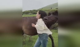 打女人肚子视频,一视频揭示家庭暴力残酷现实